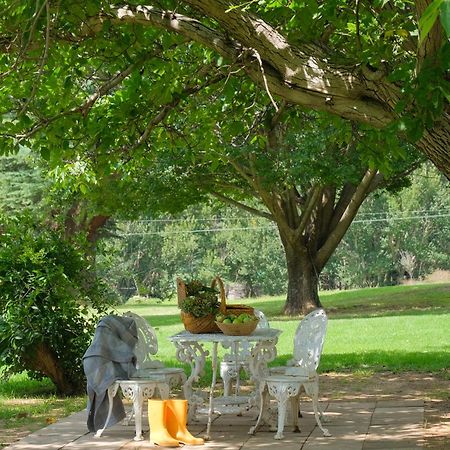 St Fort Farm Guesthouse Clarens Εξωτερικό φωτογραφία